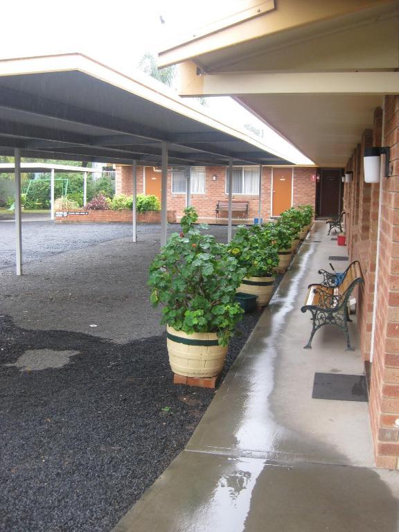 Alfa Motel Gilgandra Exterior photo